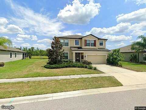 Malinche, SPRING HILL, FL 34610