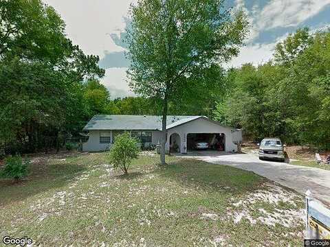Haitian, CITRUS SPRINGS, FL 34434
