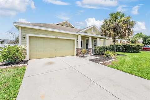 Azalea Blossom, PLANT CITY, FL 33567