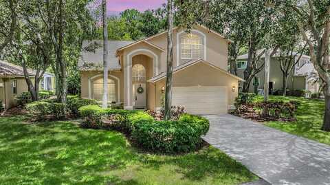 Backwater, PALM HARBOR, FL 34685