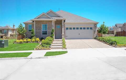 Swan Shadow, Mesquite, TX 75181