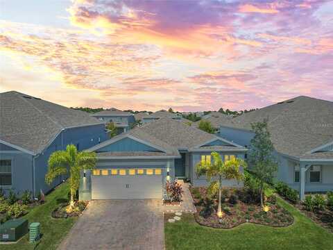 Blue Spruce, MONTVERDE, FL 34756