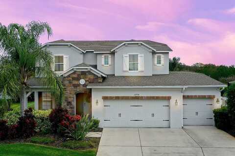 Wild Sienna, WESLEY CHAPEL, FL 33544