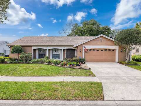 Shadberry, HUDSON, FL 34667