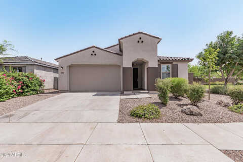 Rosa, QUEEN CREEK, AZ 85142