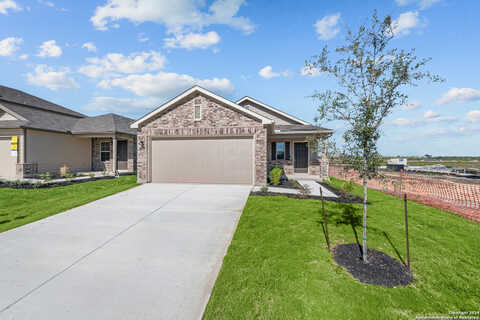 Winston, NEW BRAUNFELS, TX 78130