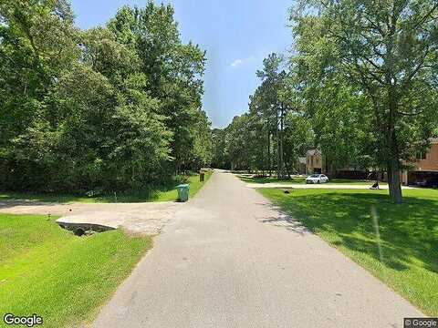 Lazy Oaks Creek Drive, Magnolia, TX 77354