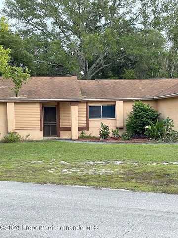 Mcginnes Court, Brooksville, FL 34613