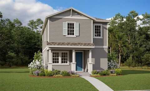 Hamlin Vista Alley, Winter Garden, FL 34787