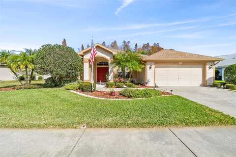 Arlinbrook Drive, Trinity, FL 34655