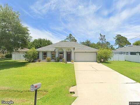 Bird Of Paradise, PALM COAST, FL 32137