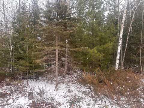 Pineview Drive, Presque Isle, MI 49777