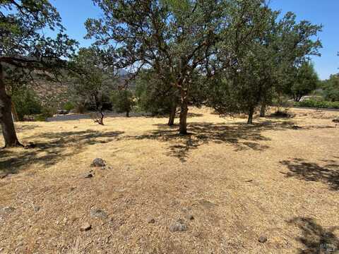 2501 harness Drive, Pope Valley, CA 94567