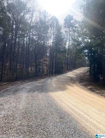 419 CROSS CREEK DRIVE, STERRETT, AL 35243