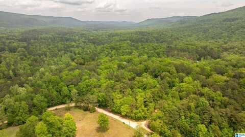 419 CROSS CREEK DRIVE, STERRETT, AL 35243