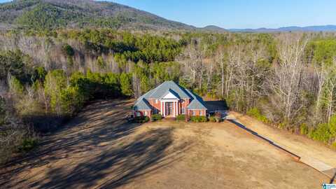 600 BAINS GAP ROAD, ANNISTON, AL 36207