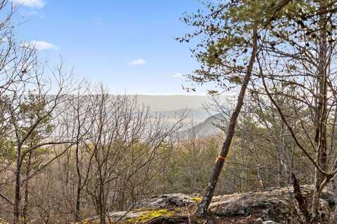 Brockdell Road, Pikeville, TN 37367