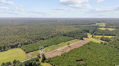 Lot 8 Black Creek Rd., Nichols, SC 29581