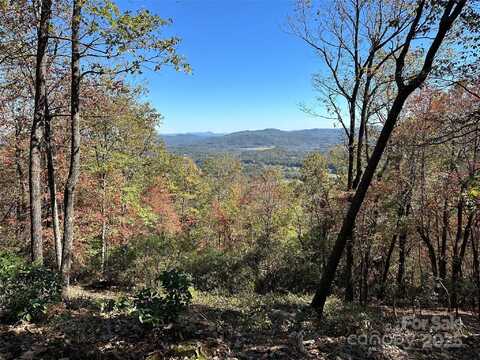 Tbd Alpen Rose Way, Mills River, NC 28759