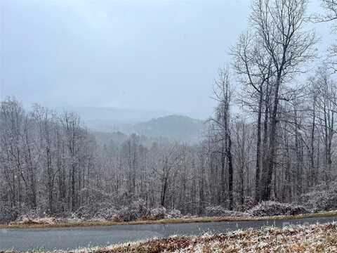 49 Ben Lippen School Road, Asheville, NC 28806