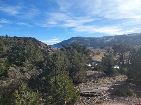 37 Turkey Creek Road, South Fork, CO 81154