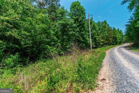 3.35AC Pine LN, Mineral Bluff, GA 30559