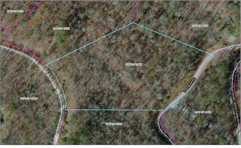 Platinum Rd, Tuckasegee, NC 28783