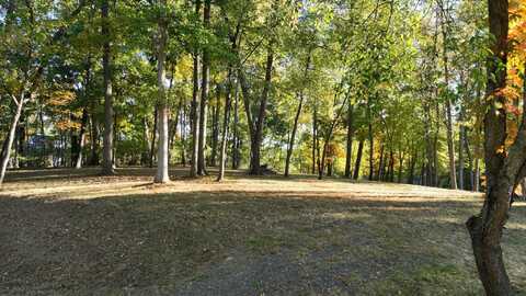 0 Lake Bluff Drive, Grass Lake, MI 49240