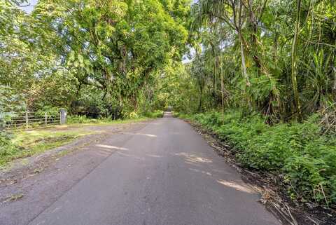 GOVERNMENT BEACH RD, PAHOA, HI 96778