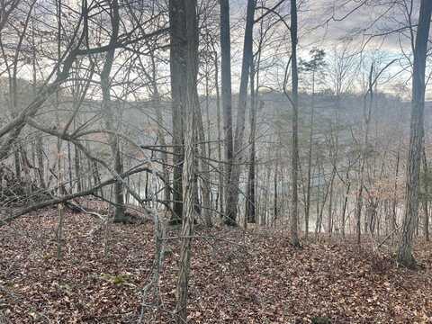 Lot 82 Pleasant View, Nancy, KY 42544