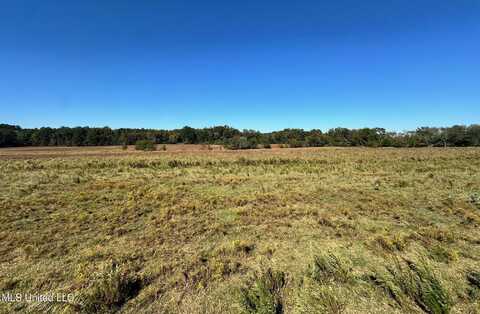 Lot #2 Robinson - Warren Meadows Road, Canton, MS 39046