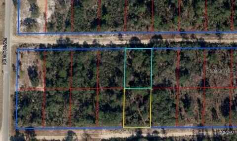 NE 64TH PLACE, WILLISTON, FL 32696