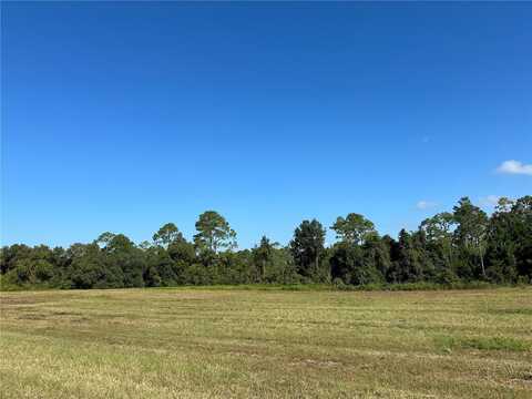 Lot 8 - 10.09ac E HWY 318, CITRA, FL 32113