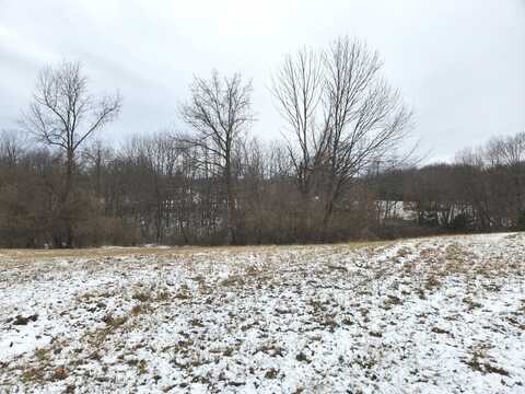 Lot 1028 Plum Circle, Varna, IL 61375