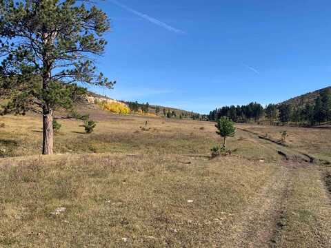 TBD Custer Limestone Road, Custer, SD 57730