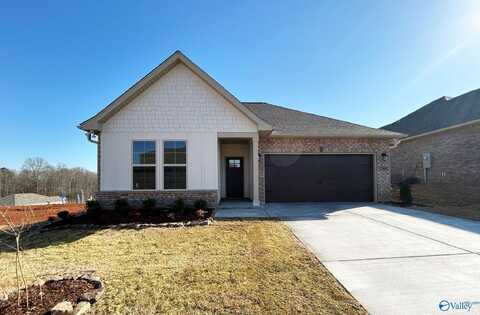 29602 Tunlaw Ridge Drive NW, Harvest, AL 35749