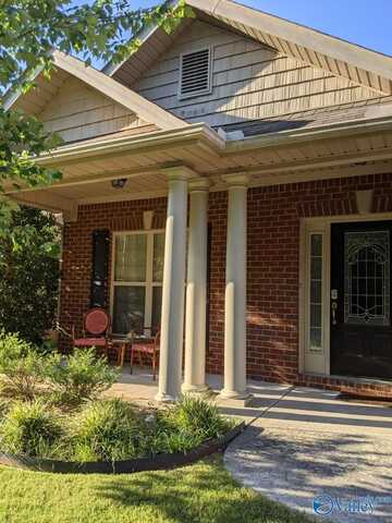 104 Chelsea Park Row, Madison, AL 35758