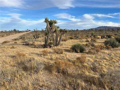 23926 Poppy Road, Apple Valley, CA 92308