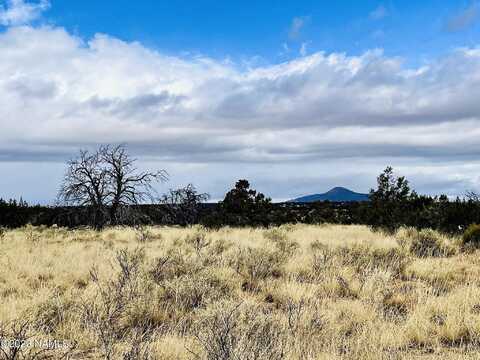 2307 E Woodland Ranch Road, Williams, AZ 86046