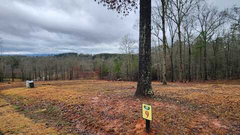 Lot 9 Arbor Creek Trail, Mineral Bluff, GA 30559