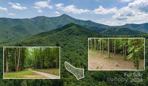 95 Treetops Drive, Candler, NC 28715