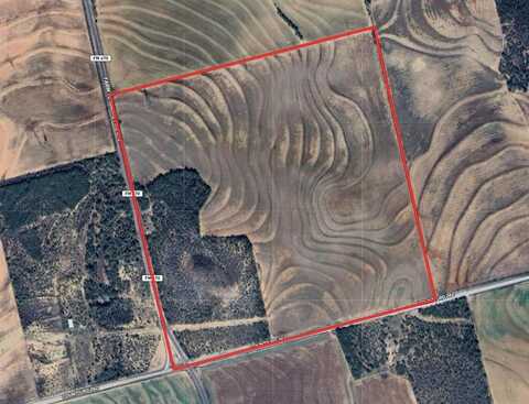 Tbd County Rd 262, Colorado City, TX 79512