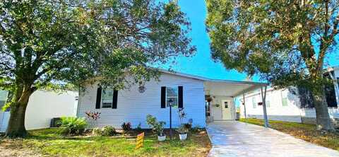 804 Choo Choo lane, Valrico, FL 33594