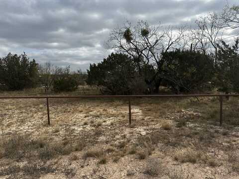 10445 San Clemente Dr, Paint Rock, TX 76866