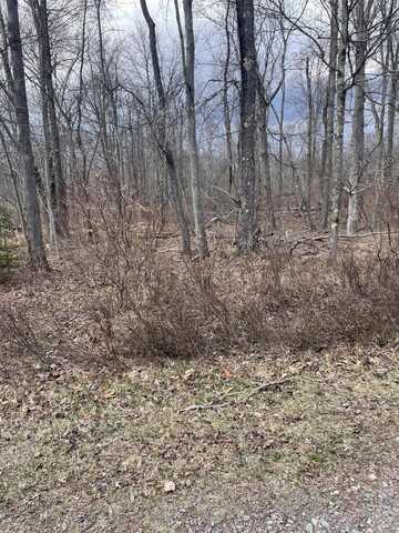 A8 Shawnee Place, Pocono Lake, PA 18347
