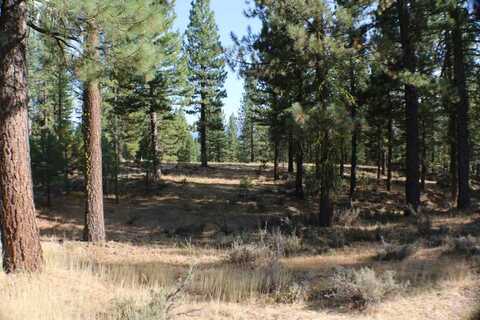 221 Cayden Drive, Clio, CA 96106