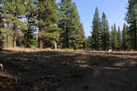 221 Cayden Drive, Clio, CA 96103