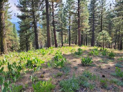 221 Cayden Drive, Clio, CA 96106