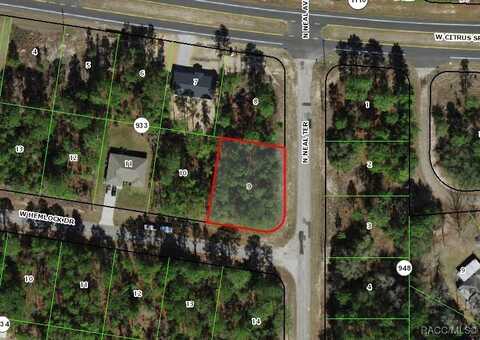 805 W Hemlock Drive, Citrus Springs, FL 34434