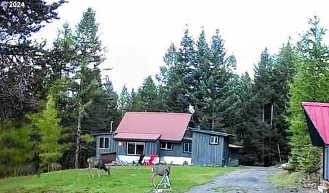 64664 E WALLOWA RD, Joseph, OR 97846